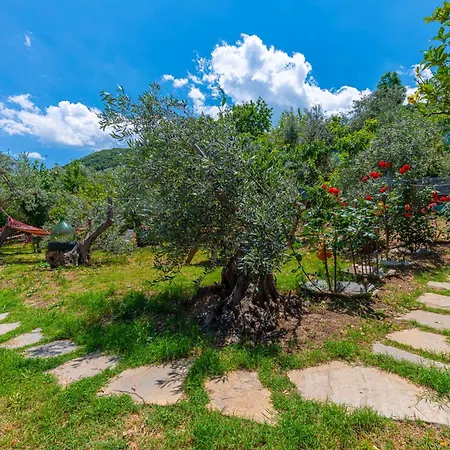 Sunrisestudiospapanero 4* داموشاري