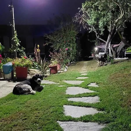 Sunrisestudiospapanero 4* داموشاري