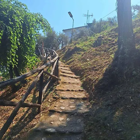 Sunrisestudiospapanero شقة فندقية داموشاري